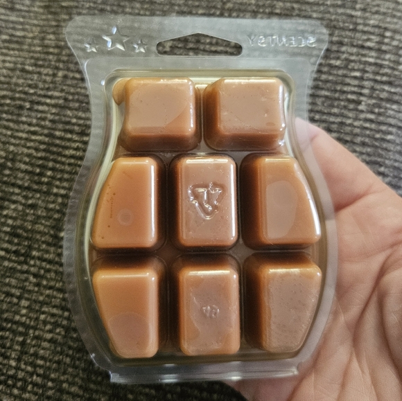 Scentsy Sand Beach Seashell Plug In & Mochadoodle & Caramel Sugar Cone Melts - Picture 6 of 9